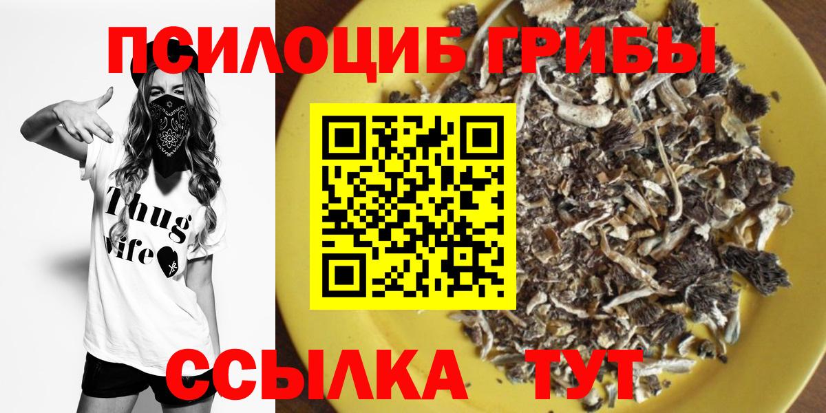Галлюциногенные грибы Cubensis Россия