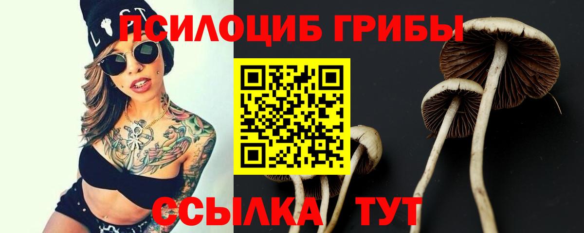 Псилоцибиновые грибы мухоморы  Вход с VPN  Псилоцибиновые грибы Psilocybe  Россия 